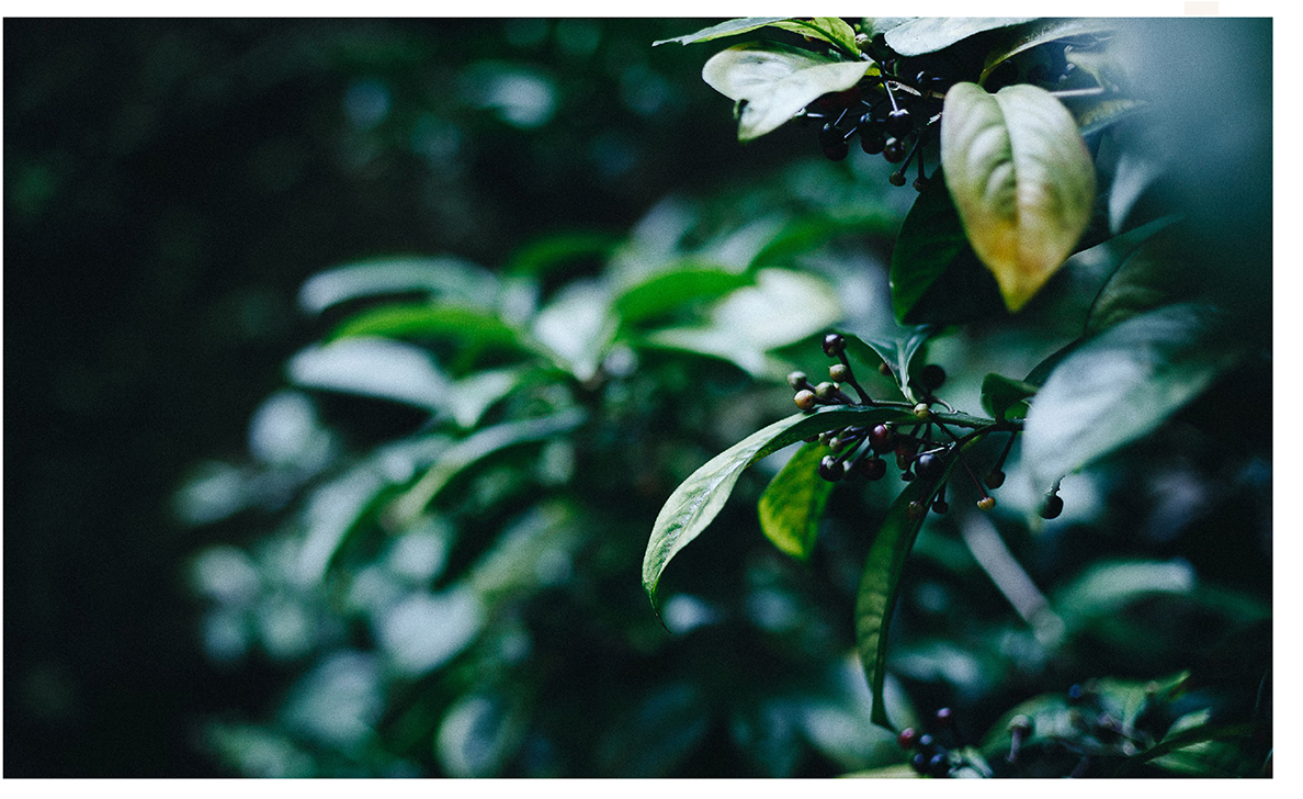 Ӣ���mͤlogo�OӋ��Ʒ���OӋ